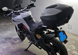 Ducati Multistrada 950 S (2019 - 20) usata