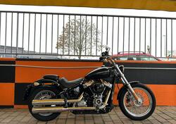 Harley-Davidson Softail Standard (2020) - FXST usata