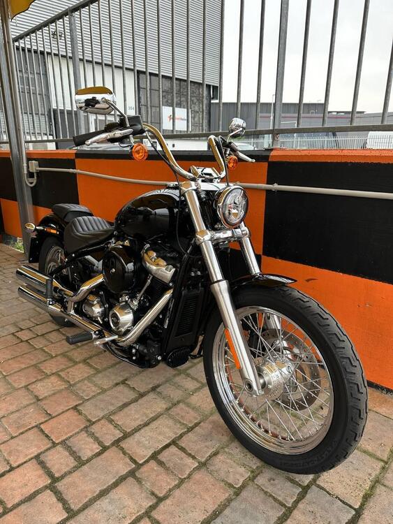 Harley-Davidson Softail Standard (2020) - FXST (2)