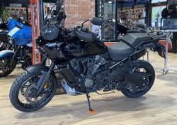 Harley-Davidson Pan America 1250 Special (2020 - 25) usata