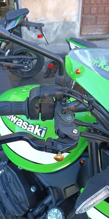 Kawasaki Z 900 RS Cafè (2018 - 21) (4)