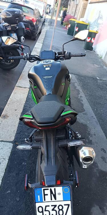 Kawasaki Z 900 (2025) (2)