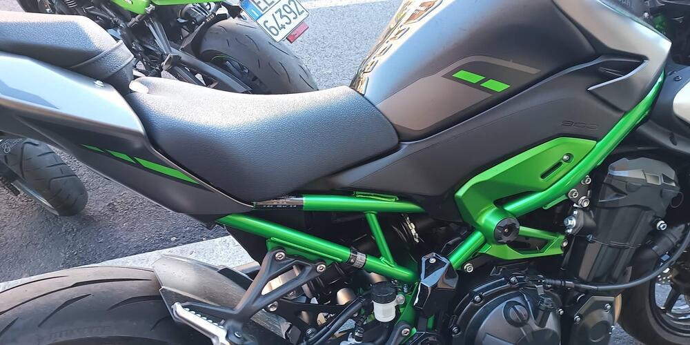 Kawasaki Z 900 (2025) (3)