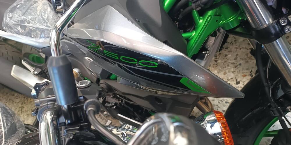 Kawasaki Z 500 SE (2024 - 25) (2)