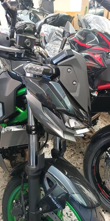 Kawasaki Z 500 SE (2024 - 25) (4)