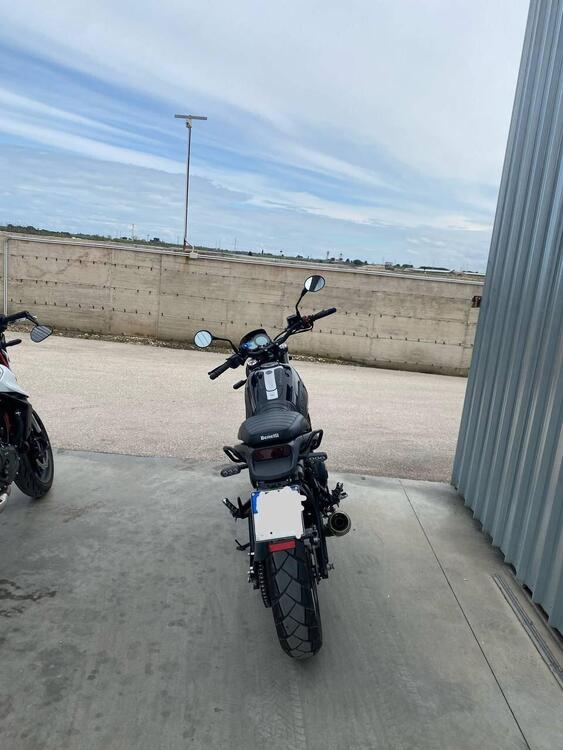 Benelli Leoncino 500 Trail (2021 - 25) (3)
