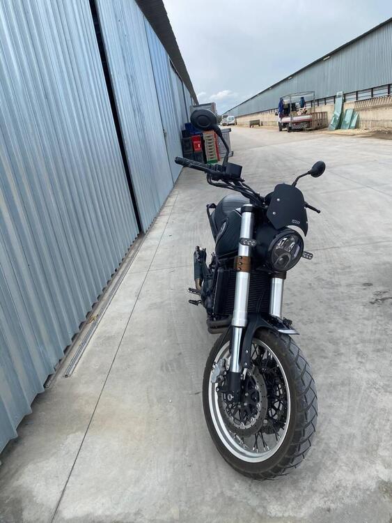 Benelli Leoncino 500 Trail (2021 - 25) (2)