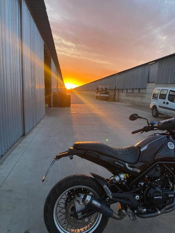 Benelli Leoncino 500 Trail (2021 - 25) (4)