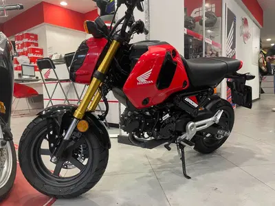 Honda MSX 125 Grom (2021 - 26) usata
