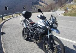 Triumph Tiger 800 XC ABS (2010 - 14) usata