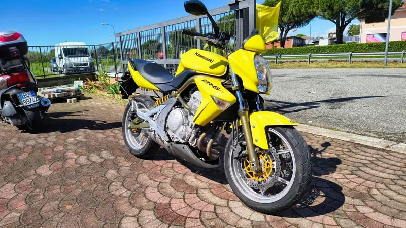 Kawasaki ER-6N (2006 - 09) (4)