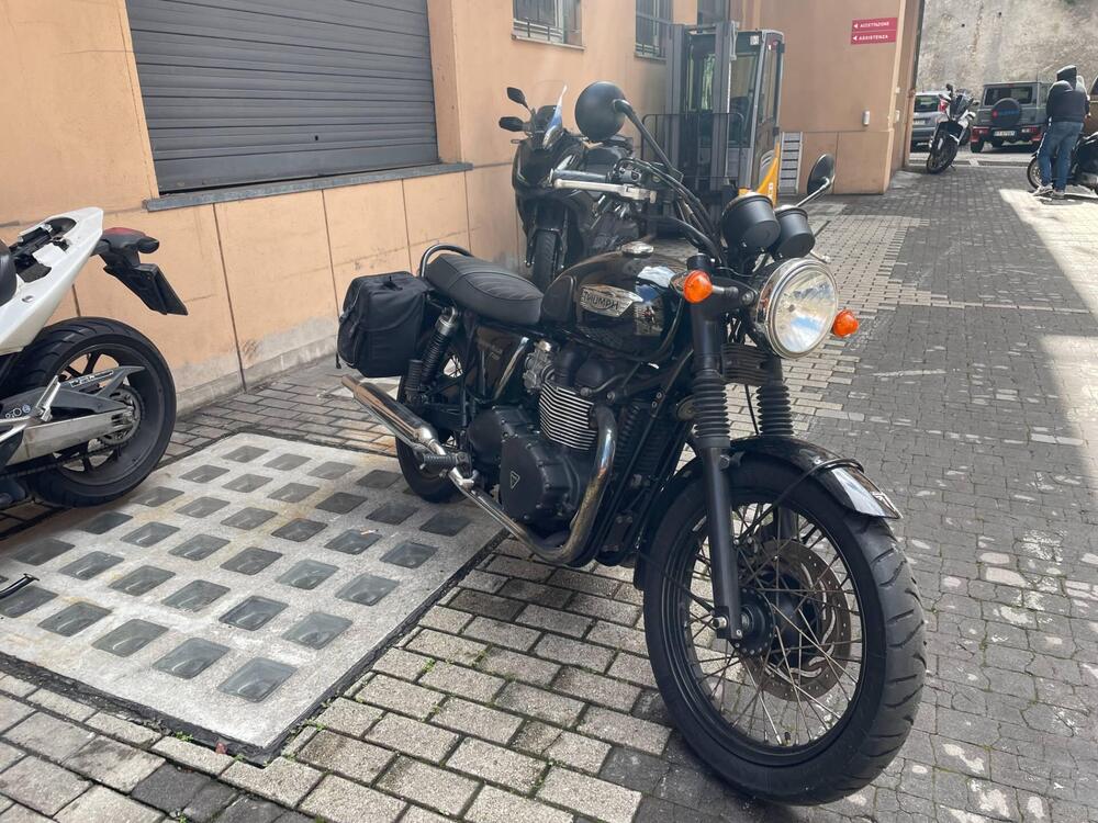 Triumph Bonneville T100 (2008 - 16) (3)