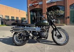 Triumph Scrambler 900 (2023 - 25) usata
