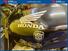 Honda Hornet 600 (2000 - 02) (9)