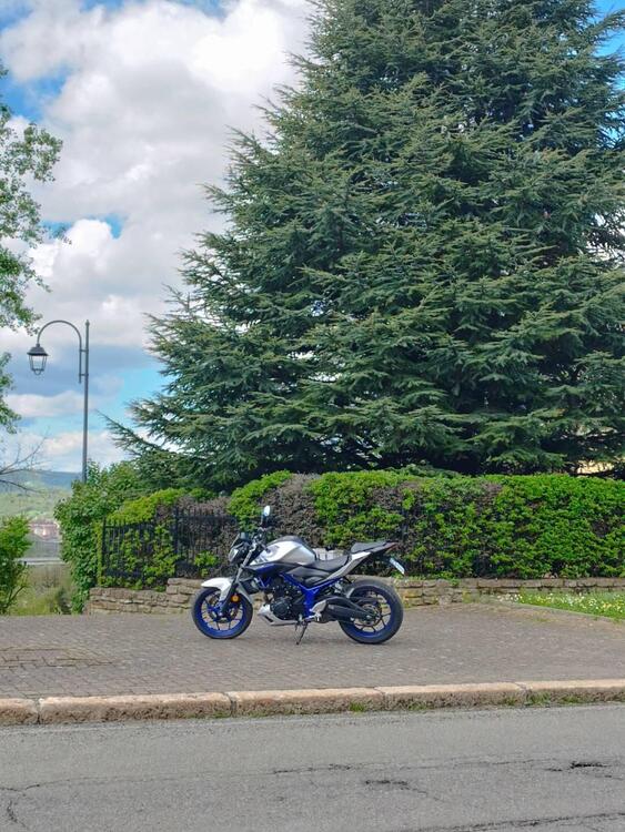 Yamaha MT-03 (2016 - 17) (4)