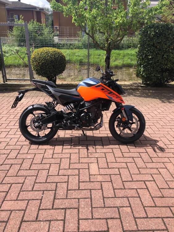 KTM 125 Duke (2024 - 26)