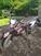 FB Mondial SMX 125 Motard (2021 - 24) (6)