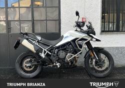 Triumph Tiger 900 GT Pro (2020 - 23) usata