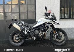 Triumph Tiger 900 GT Pro (2020 - 23) usata