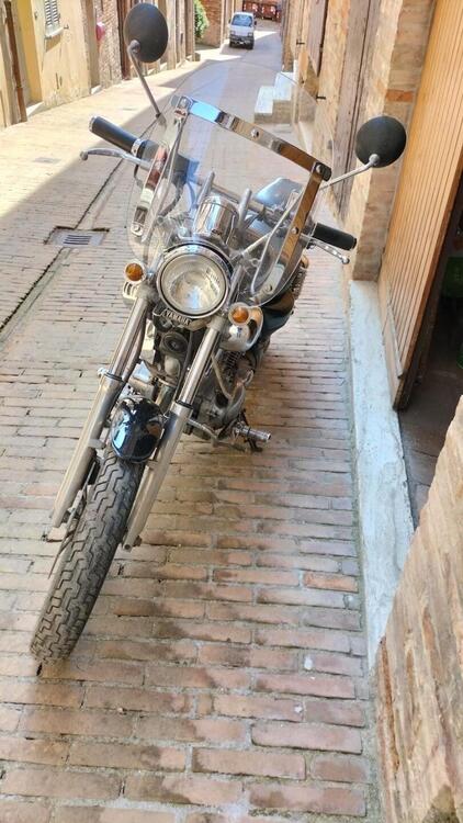 Yamaha 535 Virago (4)