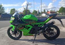 Kawasaki Ninja 125 (2021 - 25) usata