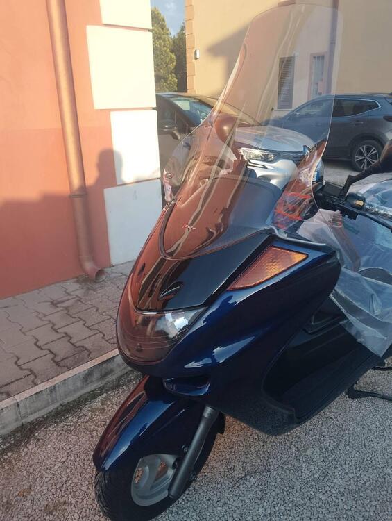 Yamaha Majesty 250 (1999 - 06) (2)