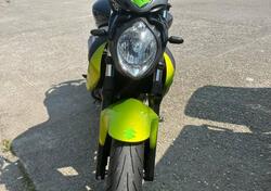 Suzuki Gladius 650 SFV (2009 - 15) usata