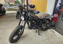 Archive Motorcycle AM 80 50 Cafe Racer (2022 - 24) usata