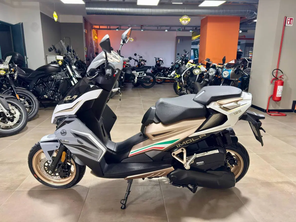 FB Mondial Imola 125 (2022 - 25) (4)
