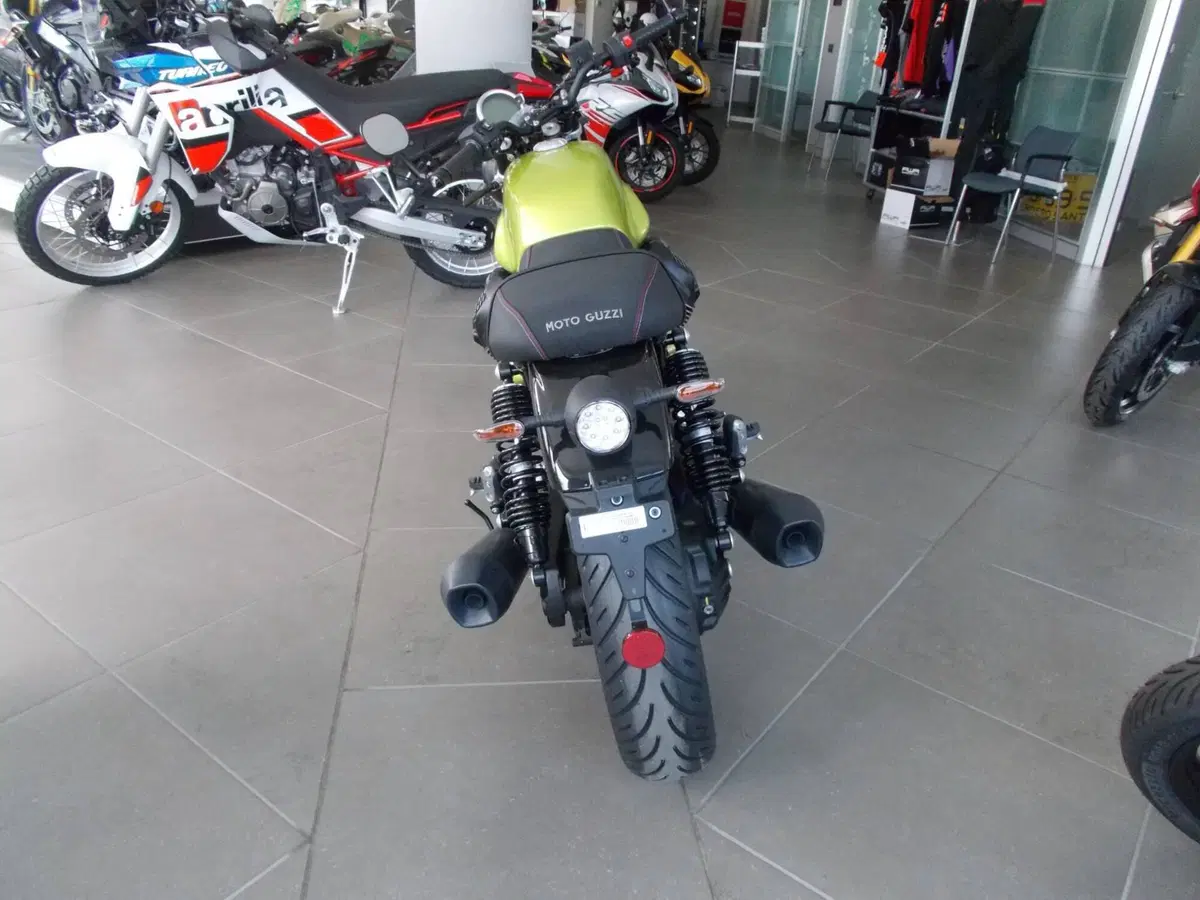 Moto Guzzi V7 Sport (2025 - 26) (3)