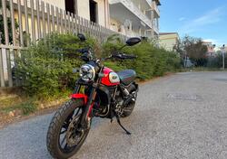 Ducati Scrambler 800 Icon (2021 - 22) usata