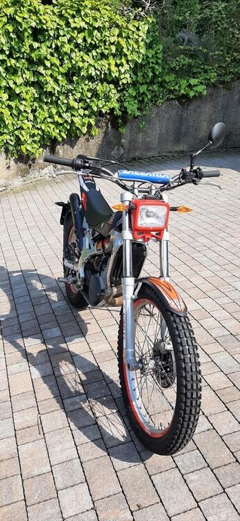 Betamotor REV-3 250 (1999 - 01) (3)