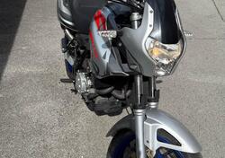 Aprilia Pegaso 650 Fun (2006 - 08) usata