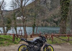 Yamaha MT-07 (2018 - 20) usata