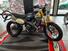Fantic Motor Caballero 500 Scrambler Deluxe (2024) (9)