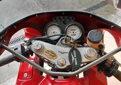 Moto Guzzi Daytona 1000 i.e. Racing (1995 - 97) usata
