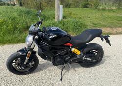 Ducati Monster 797 (2019 - 20) usata