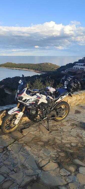 Honda Africa Twin CRF 1000L Travel Edition (2018 - 19)