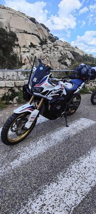 Honda Africa Twin CRF 1000L Travel Edition (2018 - 19) (3)