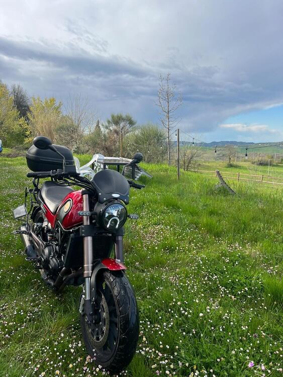 Benelli Leoncino 500 ABS (2017 - 20) (4)