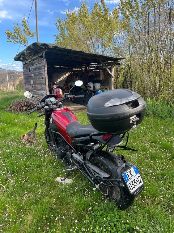 Benelli Leoncino 500 ABS (2017 - 20) (5)