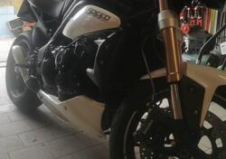 Triumph Speed Triple 1050 (2011 - 13) usata