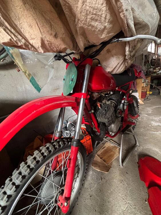 Betamotor Cr250 (4)