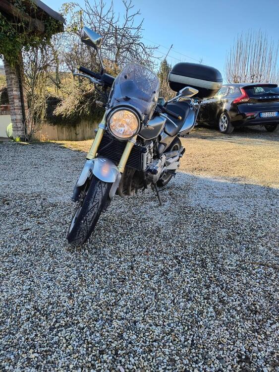 Honda Hornet 600 (2005 - 06) (2)