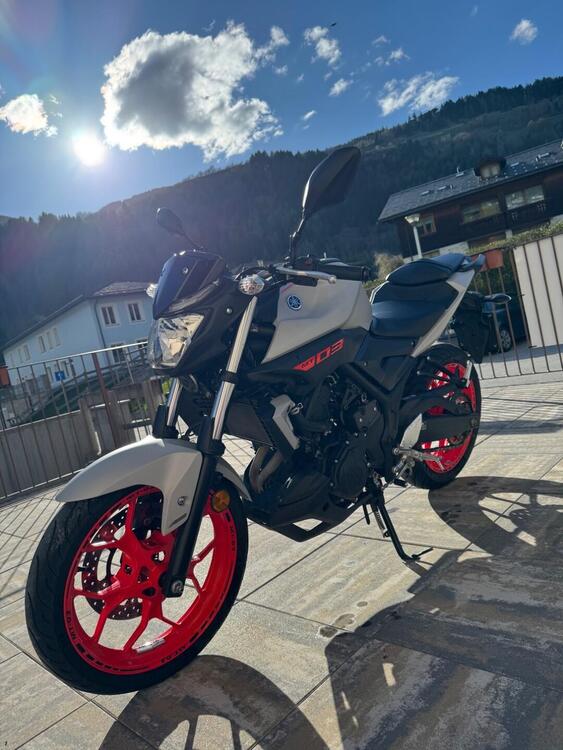Yamaha MT-03 (2018 - 19) (4)