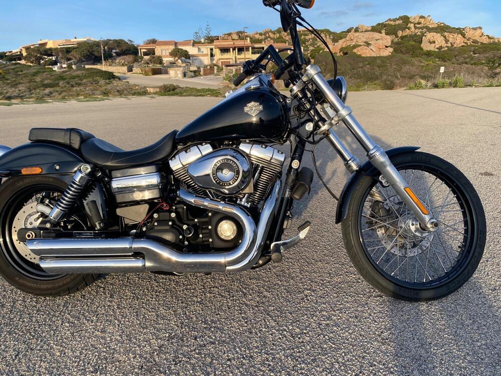 Harley-Davidson 1584 Wide Glide (2007 - 11) - FXDWG (5)