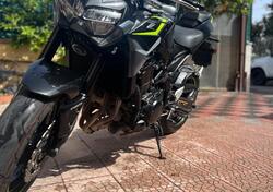 Kawasaki Z 900 A2 (2021 - 24) usata