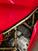 Ducati 900 SS (1991 - 95) (20)