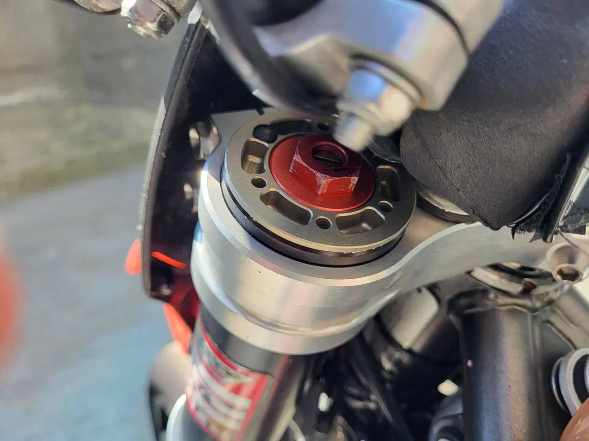 Aprilia SXV 550 (2006 - 07) (5)
