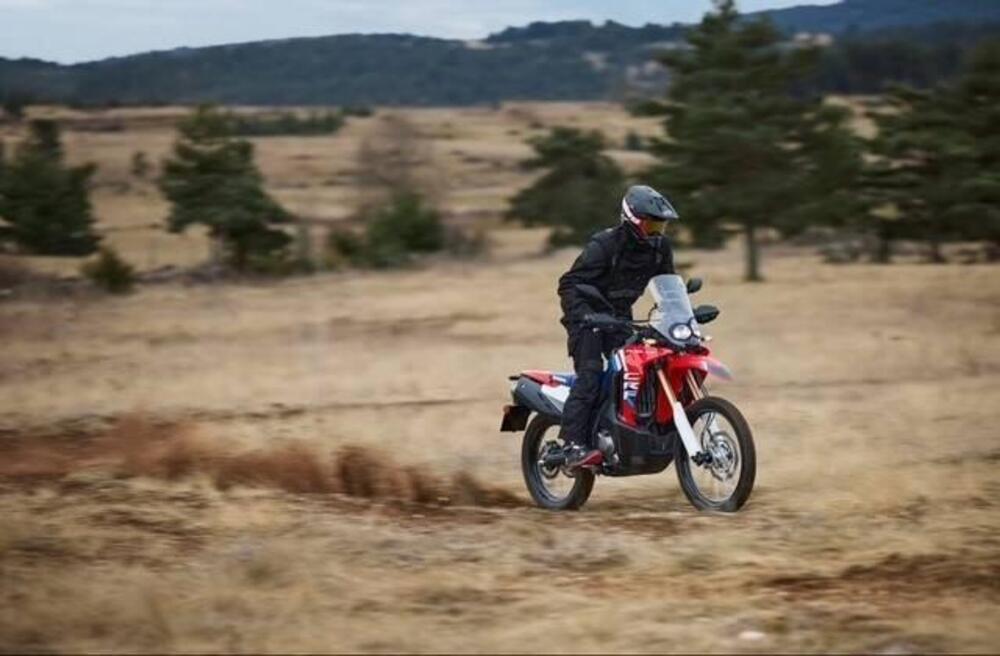 Honda CRF 300 Rally (2025)